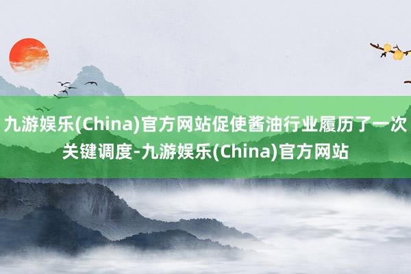 九游娱乐(China)官方网站促使酱油行业履历了一次关键调度-九游娱乐(China)官方网站