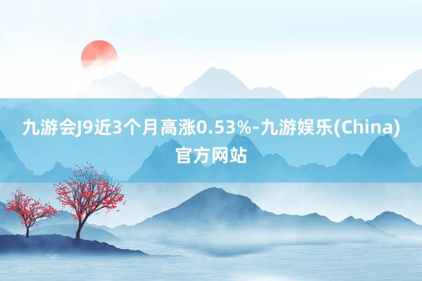 九游会J9近3个月高涨0.53%-九游娱乐(China)官方网站