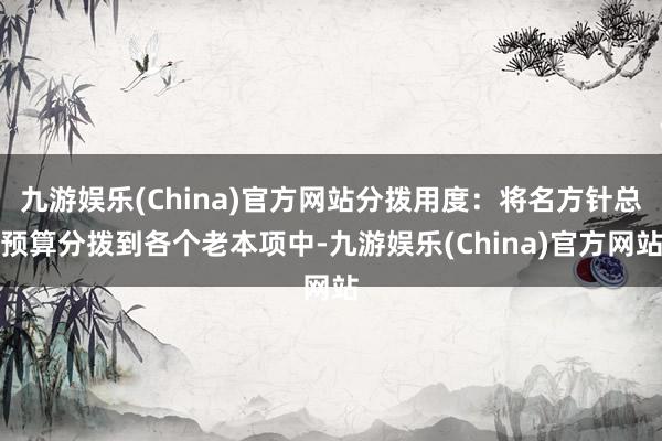 九游娱乐(China)官方网站分拨用度：将名方针总预算分拨到各个老本项中-九游娱乐(China)官方网站