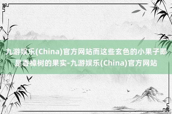 九游娱乐(China)官方网站而这些玄色的小果子即是香樟树的果实-九游娱乐(China)官方网站